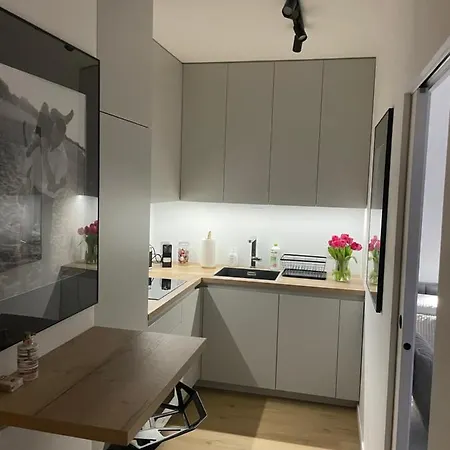 4 Bed 2 公寓 *